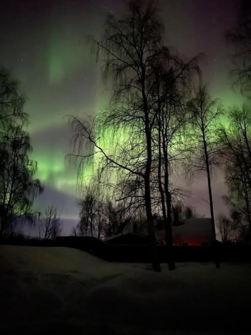 Chalet Experience Amazing Ivalo 4,5km From The Airport Inari