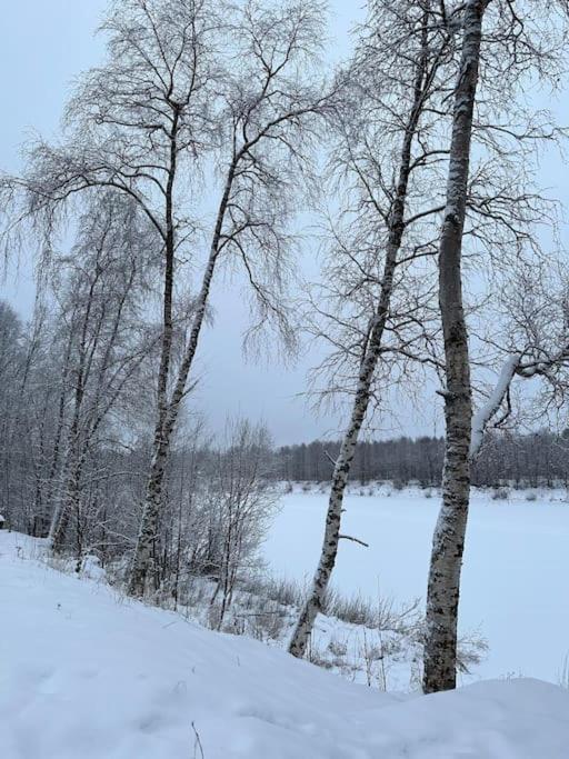 Experience Amazing Ivalo 4,5km From The Airport Chalet Inari